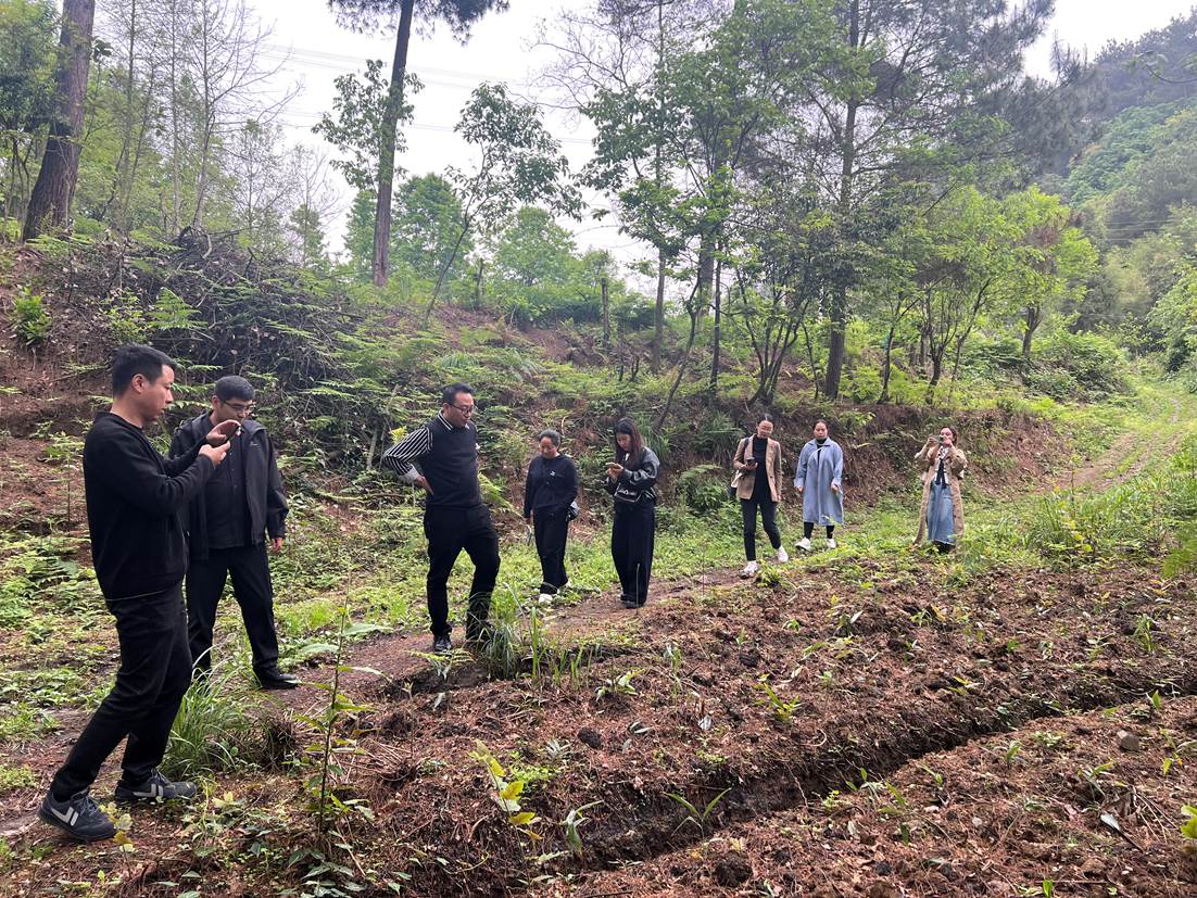 Image_1776313557849_496